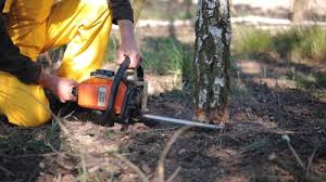 Best Lawn Watering Services  in Rollingwood, CA