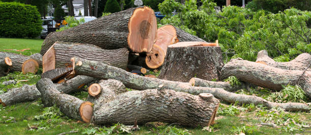 Mulching Services in Rollingwood, CA